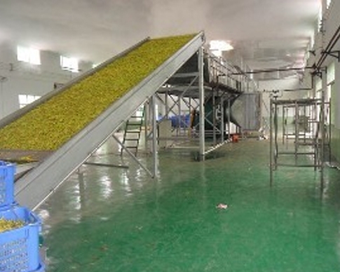 大香蕉三级片廠家